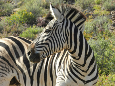 Deutschsprachige Kleingruppenreise Südafrika