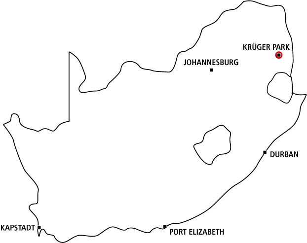 Kruger & Panorama Safari