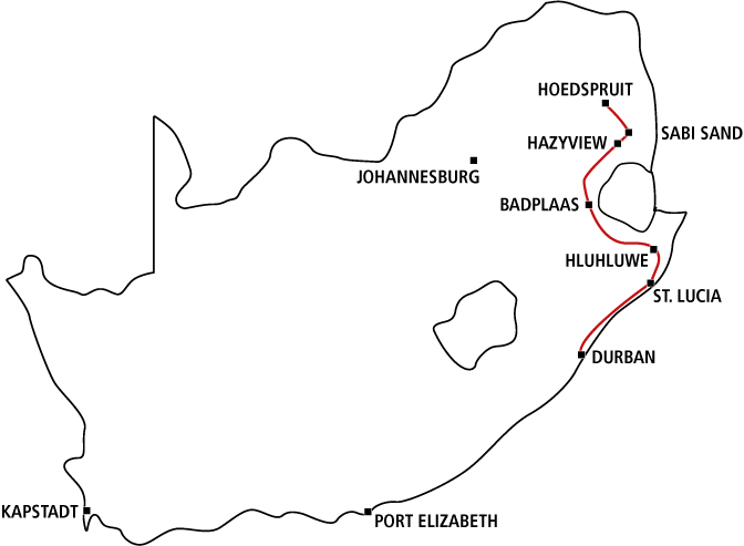Südafrikas Safari Highlights